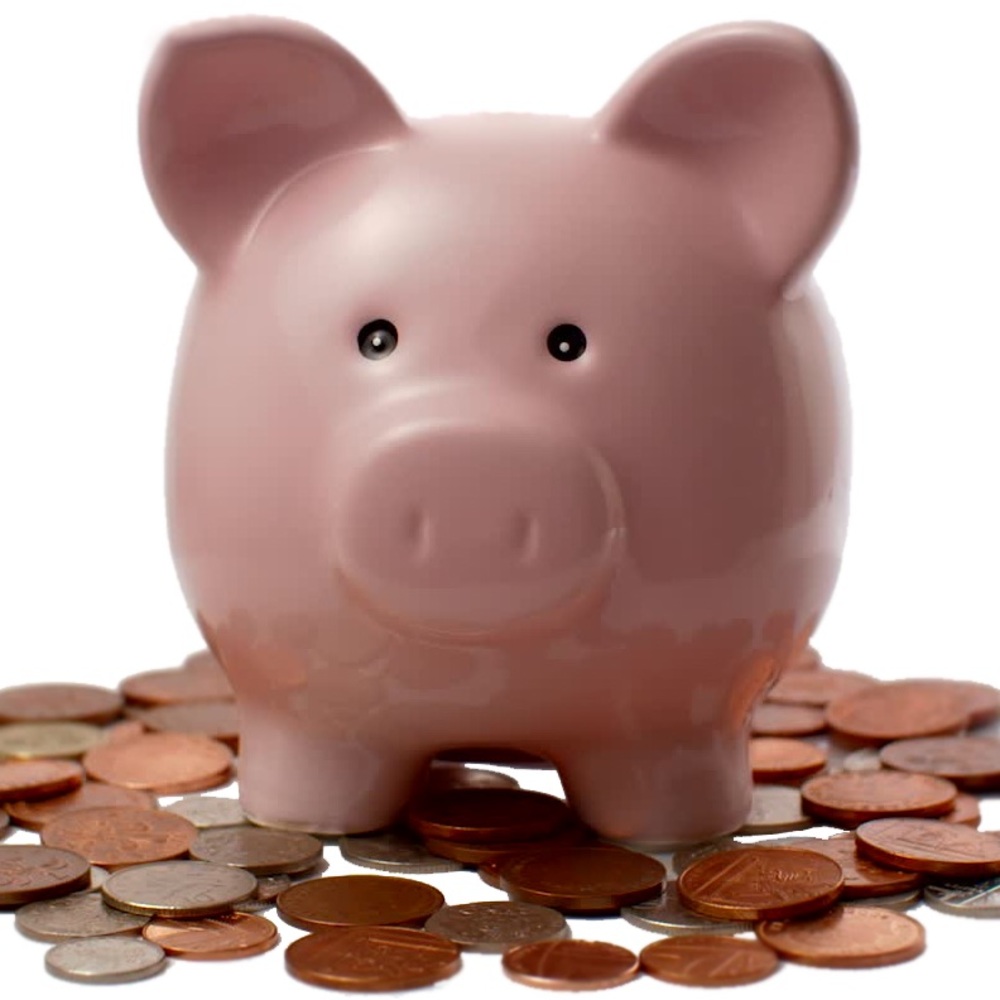 Meet your Posher, FrugalMom